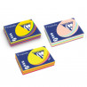 Lot de 5 Ramettes papier TROPHEE assortie A4 80g 500F