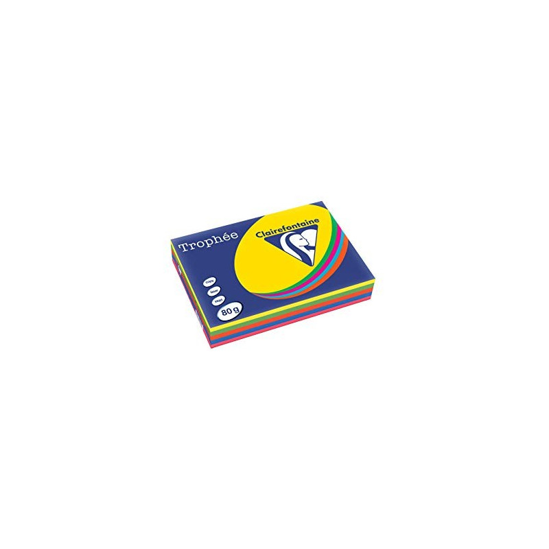 Lot de 5 Ramettes papier TROPHEE assortie A3 80g 500F