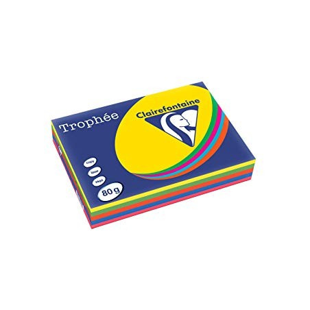 Lot de 5 Ramettes papier TROPHEE assortie A3 80g 500F