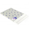 Ramette papier Dessin Canson 50x65 cm format raisin 25 feuilles