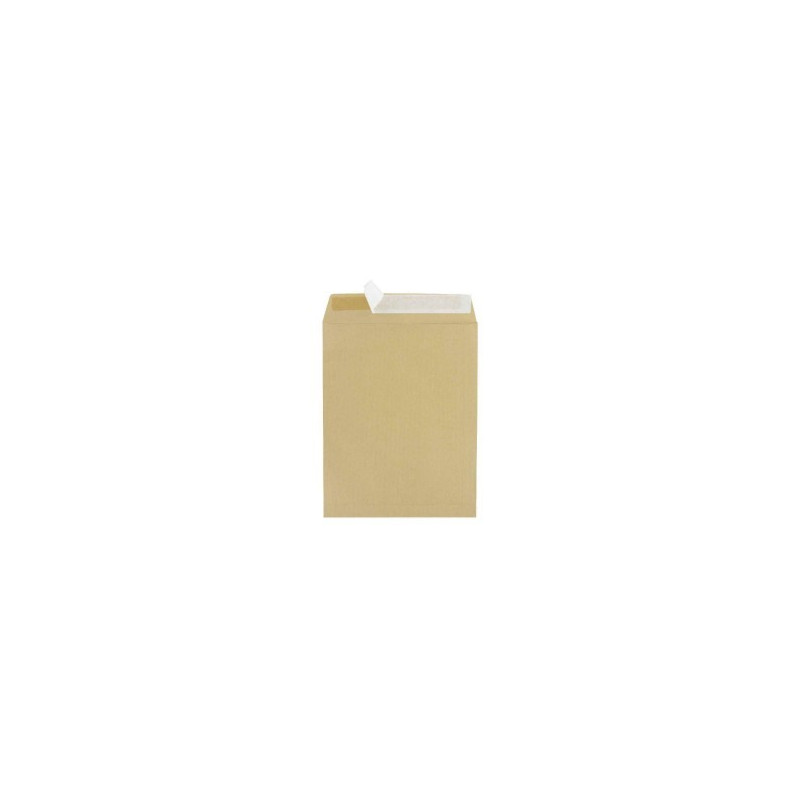  250 Pochettes Kraft Directo 229x324 mm 90g 