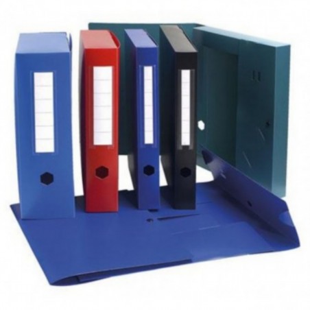  Lot de 10 Boîtes d'archives à pression EXACOMPTA en Polypro Dos 80 mm (Coul Assorties) 