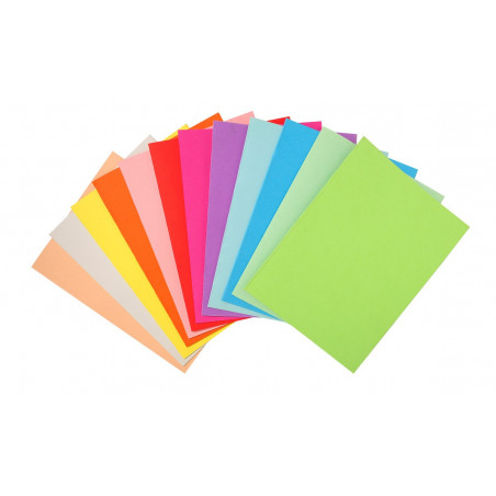  Paquets de 100 Chemises EXACOMPTA semi rigide Foldyne 180g/m² 24x32 Assorties 