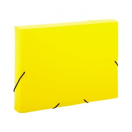  Lot de 10 Chemises-boites SICLA en carte lustrée Dos:4cm 