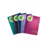  Lot de 20 Chemises à rabats DELI en polypropylène Col assorties 