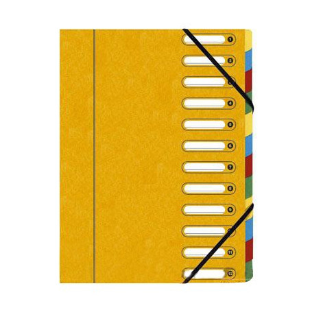  Lot de 6 Trieurs Dos extensible et fenêtres découpées Exacompta 12 Divisions (Ass: 6coul) 