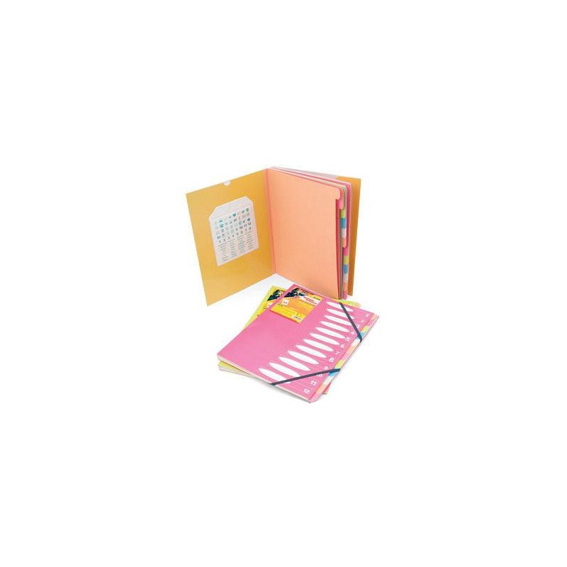  Lot de 5 trieurs Mintra pour papier A4 12 positions. 