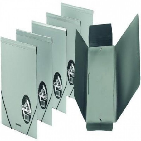  Porte documents FOLDERMATE Format A4 Coul Gris 