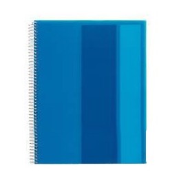  Carnet MIQUELRIUS Pillars 100 pages A7 70g/m² petits carreaux Coloris au choix 