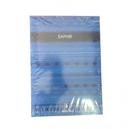  Lot de 10 Bloc-notes SELECTA Saphir 100 pages 5/5 14,8 x 21 Coloris au choix 