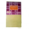 Paquet de 100 fiches bristol 13,5x21 cm Quadrillé 5x5 mm Coloris au choix 180g