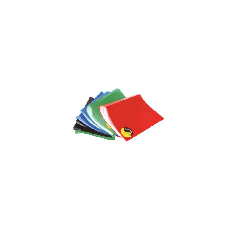  Lot de 12 Portes-vues BOSTON A4 20 pochettes 40 vues Coloris au choix 