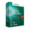  Kaspersky Small Office Security 5,0 (10 postes + 1 serveur) 