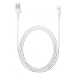 Câble Lightning vers USB...