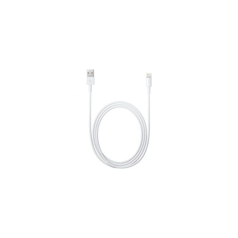 Câble Lightning vers USB Apple - MD818ZM/A