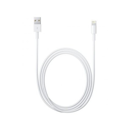 Câble Lightning vers USB Apple - MD818ZM/A