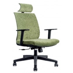 Fauteuil Président FISHER...