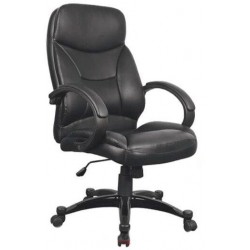 Fauteuil Président INES en...