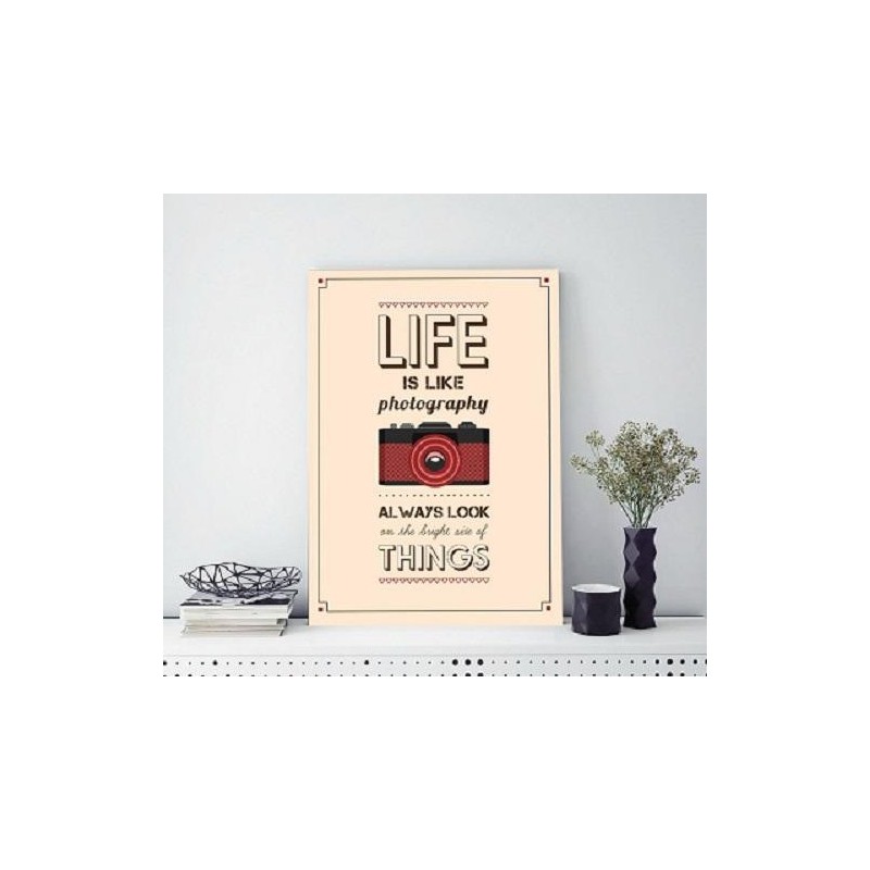  Tableau décoratif Inspirant "Life is like Photography" L40 x H70 cm 