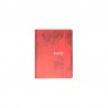 Cahier Calligraphe 96 pages - 17x22 - 70g - Piqué - Grands Carreaux