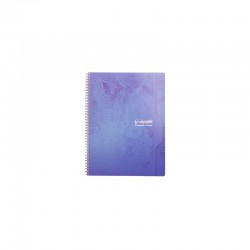 Cahier spirales Calligraphe...