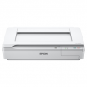 Epson Scanner WorkForce DS-50000- A3 -