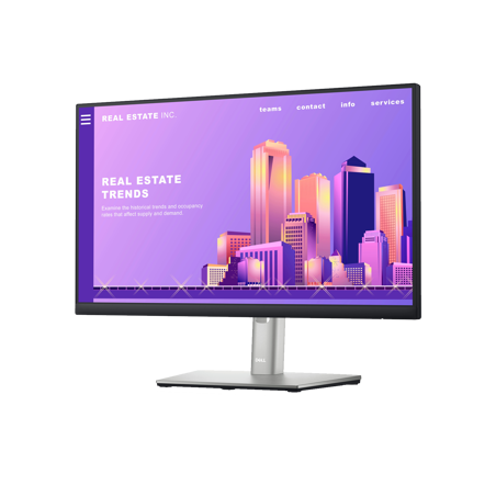 Dell 24 Monitor - P2422H - 60.5cm (23.8") 36M