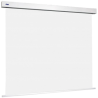 ORAY Ecran Moteur ORION HC 369x492cm