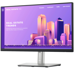 Dell 24 Monitor - P2422H -...