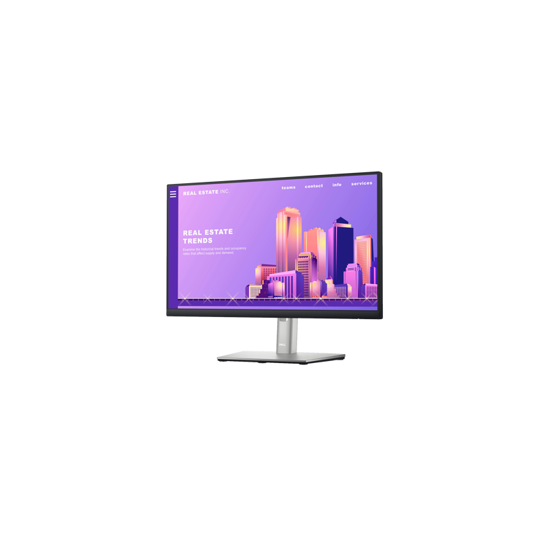 Dell 24 Monitor - P2422H - 60.5cm (23.8") 36M
