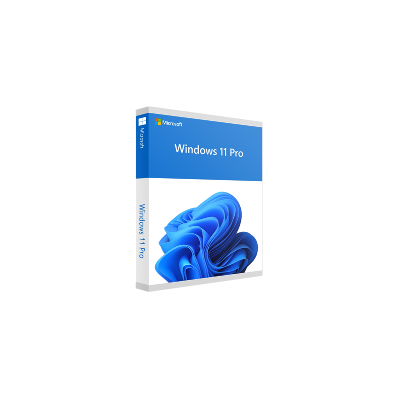 Microsoft Win 11 Pro 64Bit Eng Intl 1pk DSP OEI DV
