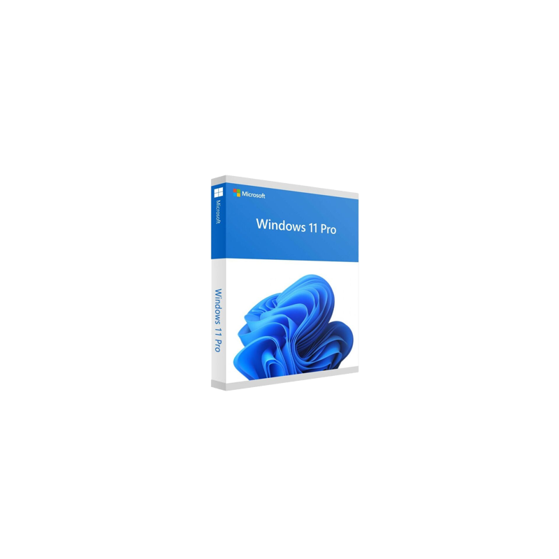 Microsoft Win 11 Pro 64Bit French 1pk DSP OEI DVD