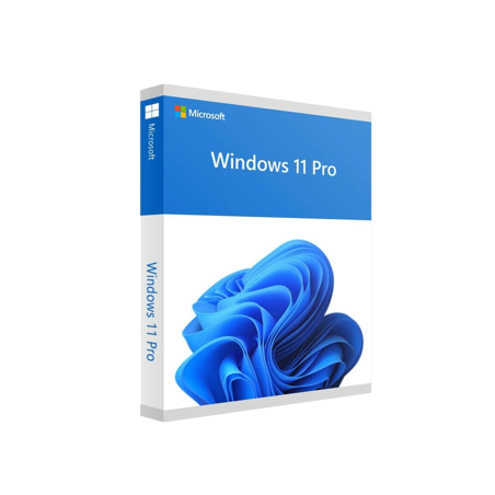 Microsoft Win 11 Pro 64Bit French 1pk DSP OEI DVD