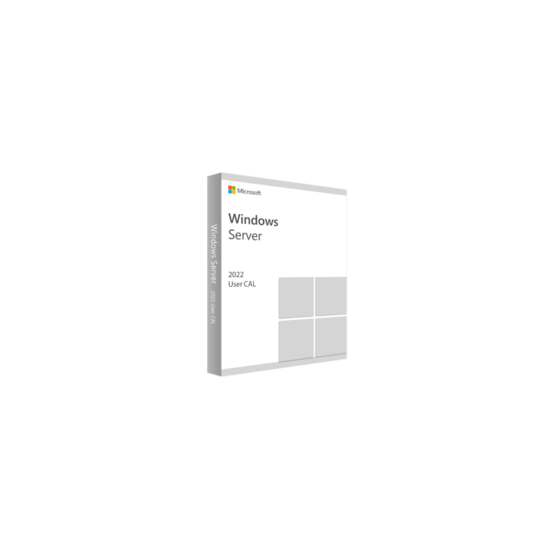 Microsoft Windows Server CAL 2022 French 1pk DSP O