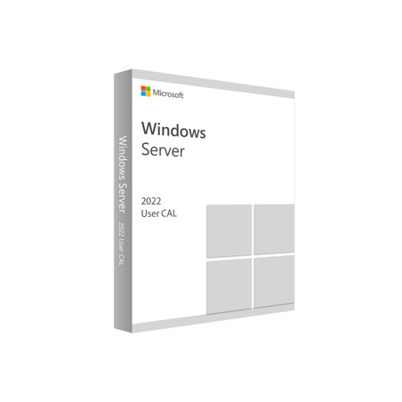 Microsoft Windows Server CAL 2022 French 1pk DSP O
