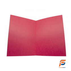 CHEMISE SIMPLE EN CARTE DE LEON 4x10 algo