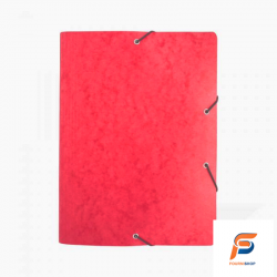 Chemise à rabat en carte de Léon algo