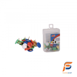 PUNAISE PLASTIFIE BOSTON