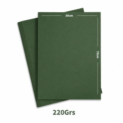 Feuille Papier Canson Verte...